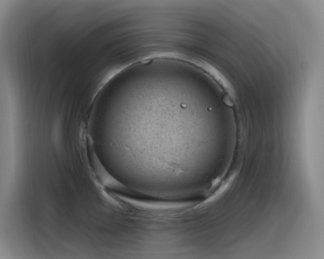 X0000116111001200911231142