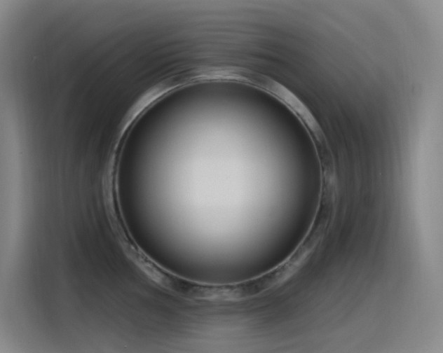 X0000116111002200911231142