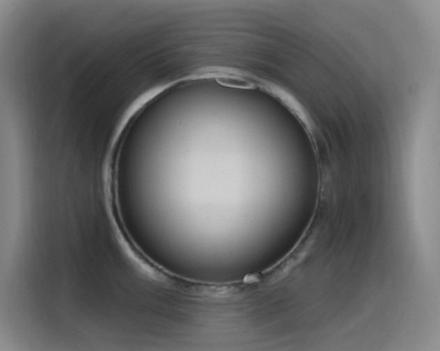 X0000116111003200911231142