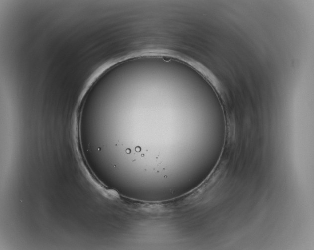 X0000116111006200911231142