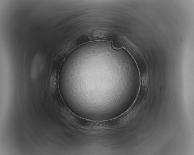 X0000116111011200911231141