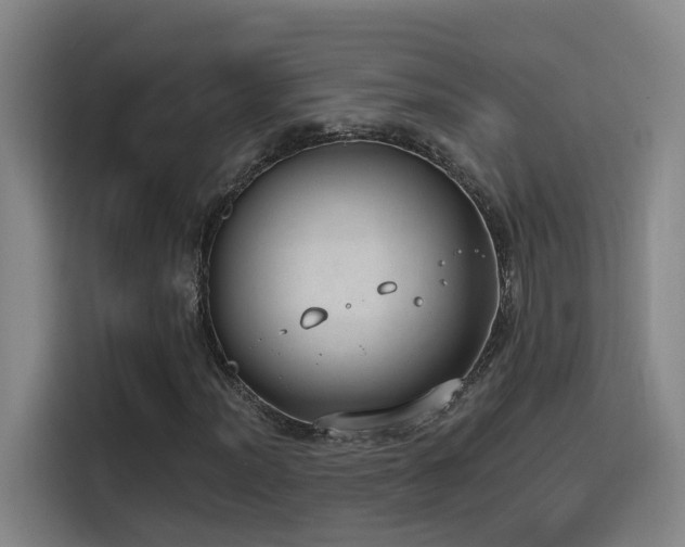 X0000116111012200911231141