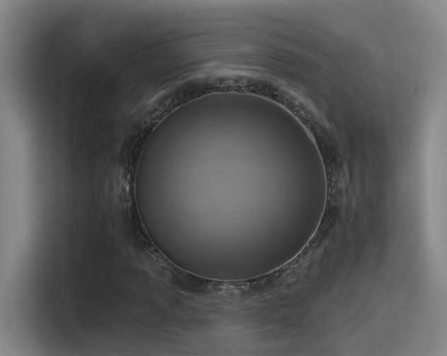 X0000116111013200911231141