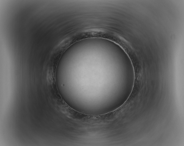 X0000116111014200911231141