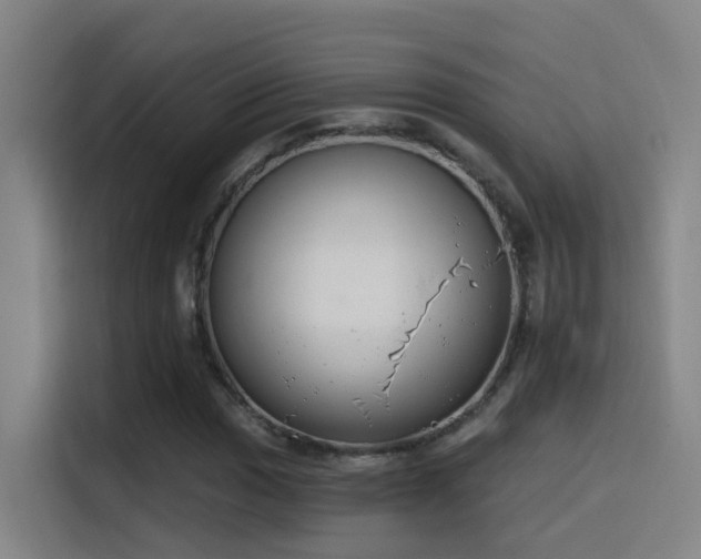 X0000116111017200911231141