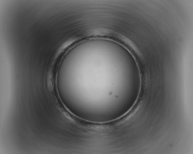 X0000116111018200911231141