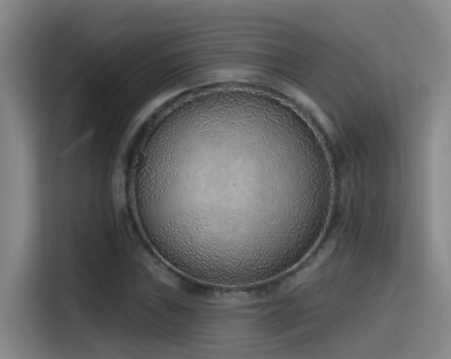 X0000116111019200911231141