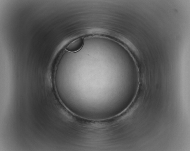 X0000116111022200911231141
