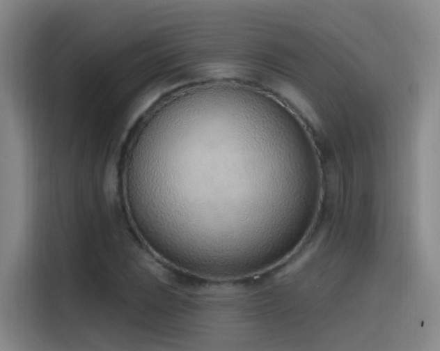 X0000116111023200911231141
