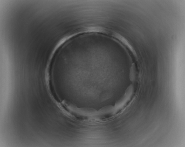 X0000116111024200911231141