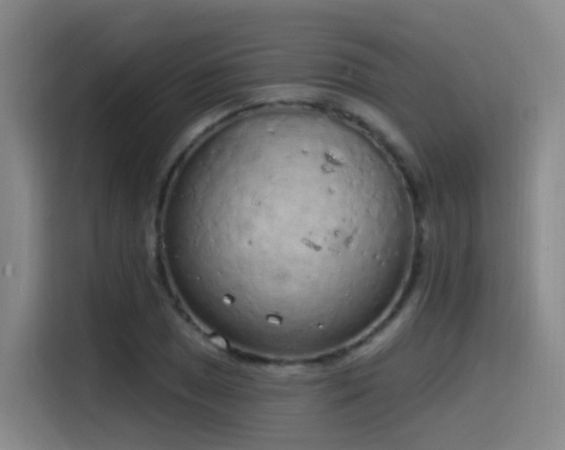 X0000116111025200911231141