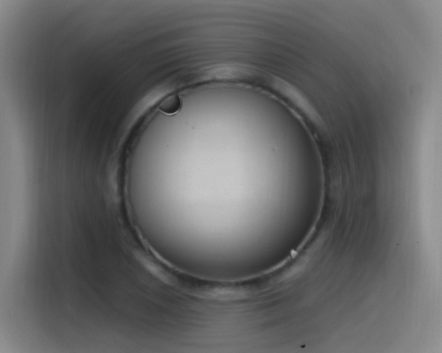 X0000116111026200911231141