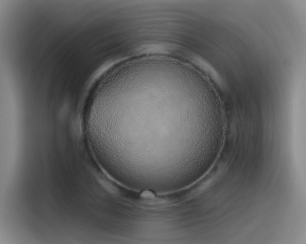 X0000116111027200911231141