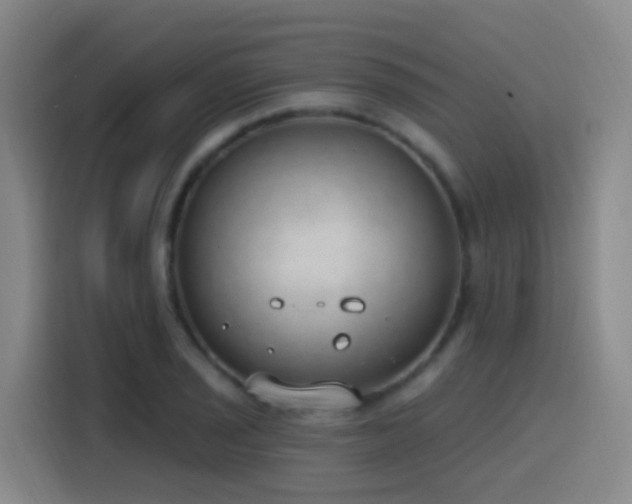 X0000116111029200911231141