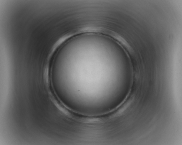 X0000116111030200911231141