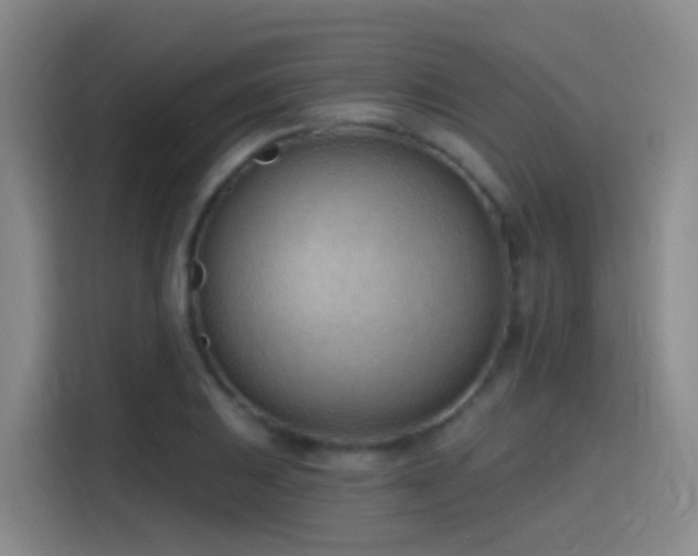 X0000116111031200911231141
