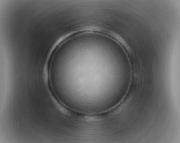 X0000116111032200911231141