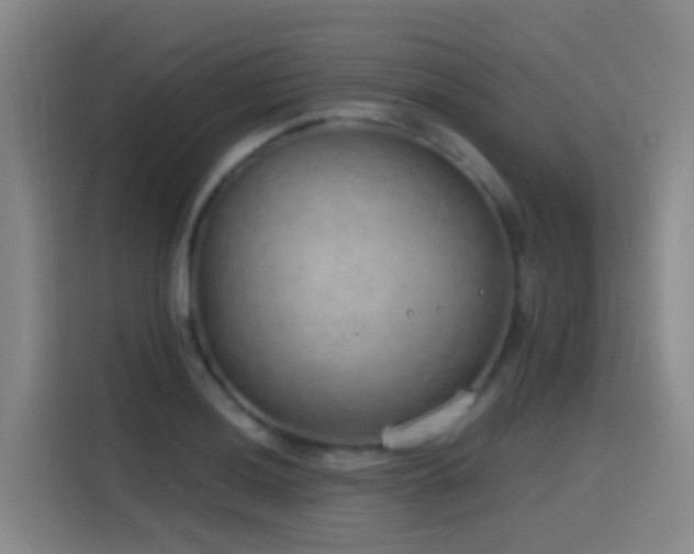 X0000116111036200911231141