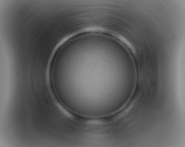 X0000116111037200911231141