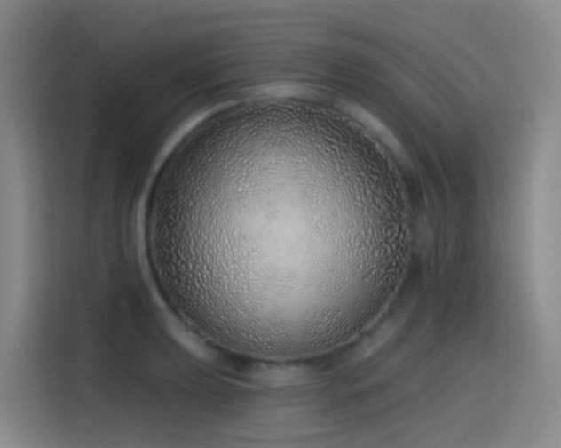 X0000116111039200911231141