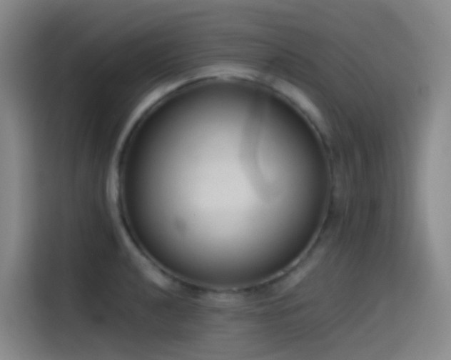 X0000116111040200911231141