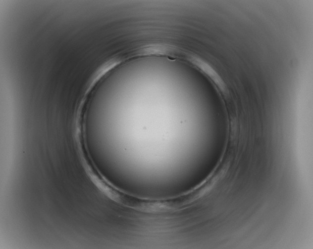 X0000116111042200911231141