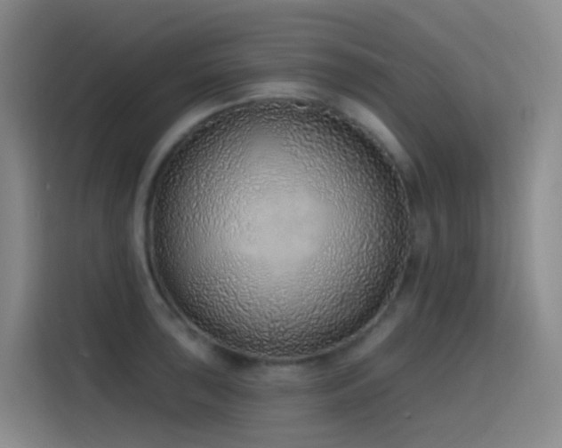 X0000116111043200911231141