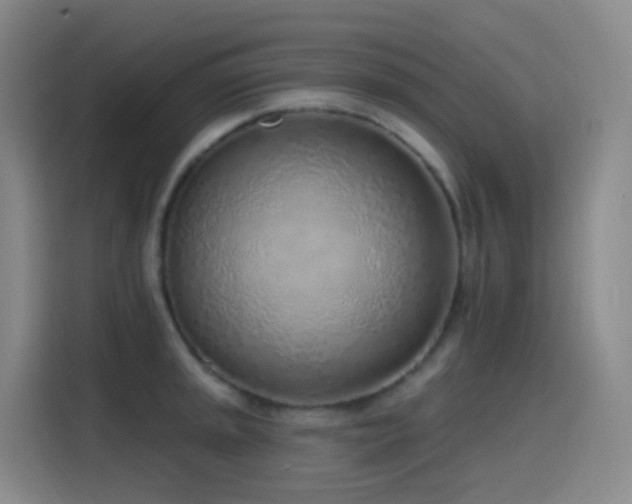 X0000116111045200911231141