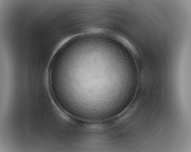 X0000116111047200911231141