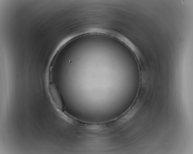 X0000116111048200911231141