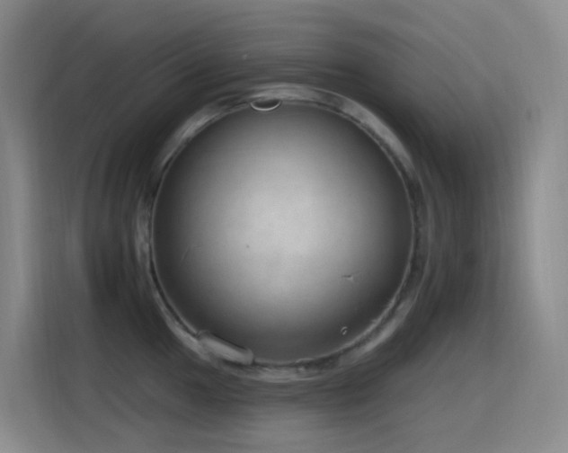 X0000116111049200911231141
