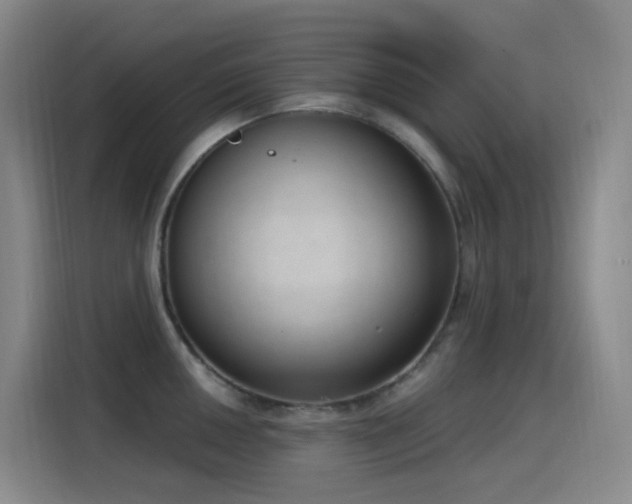 X0000116111050200911231141