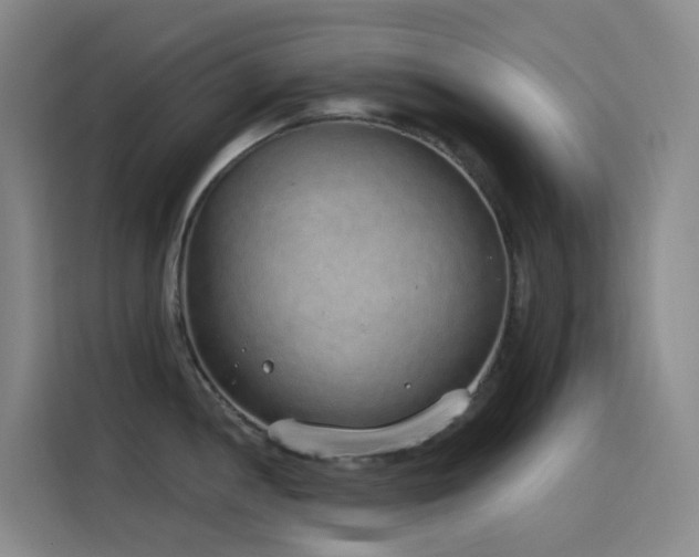 X0000116111052200911231142