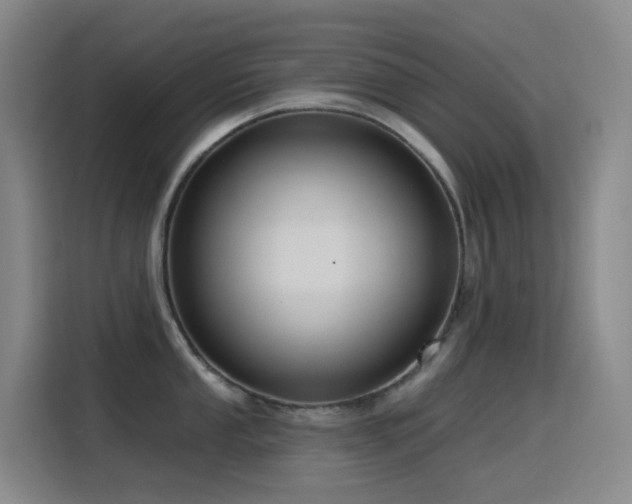 X0000116111053200911231142