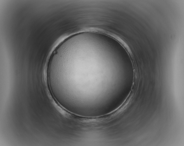 X0000116111054200911231142