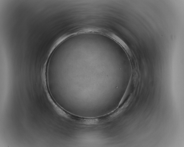X0000116111055200911231142