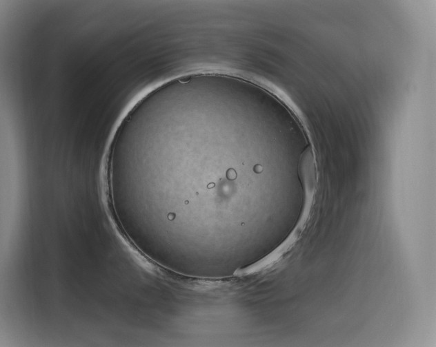 X0000116111056200911231142