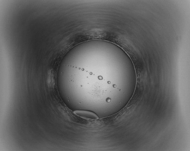 X0000116111058200911231141