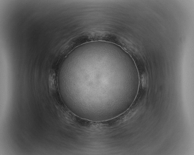 X0000116111059200911231141