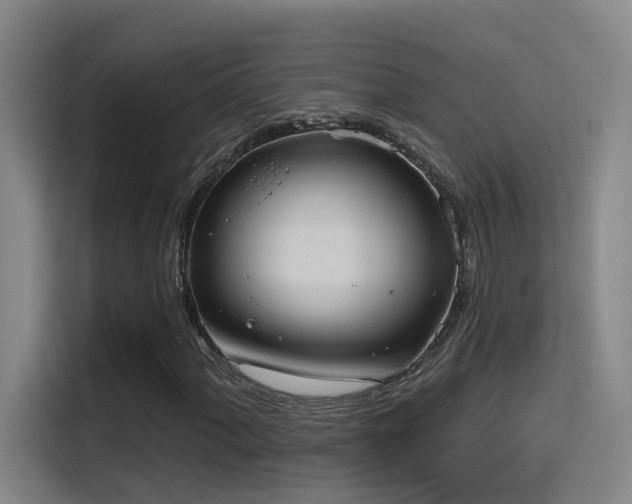 X0000116111060200911231141