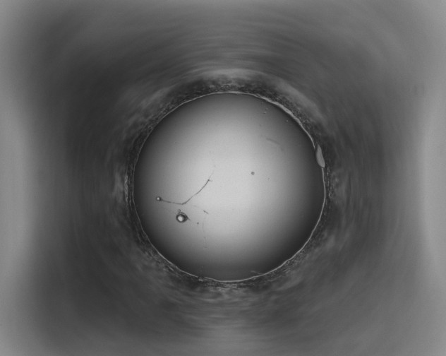 X0000116111061200911231141