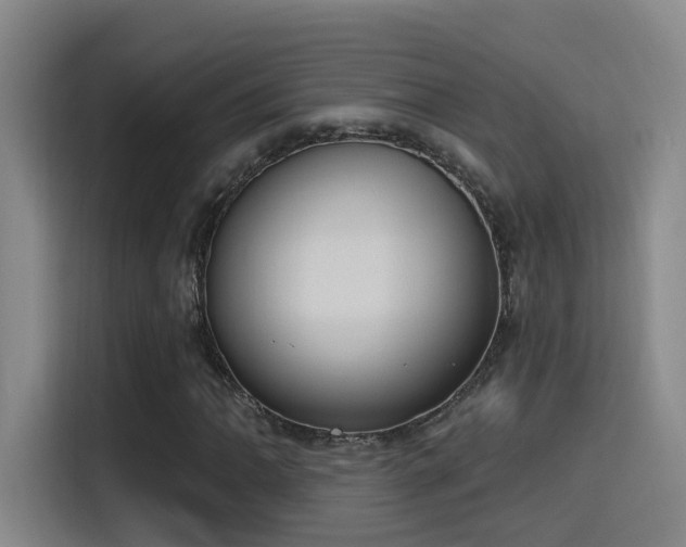 X0000116111062200911231141
