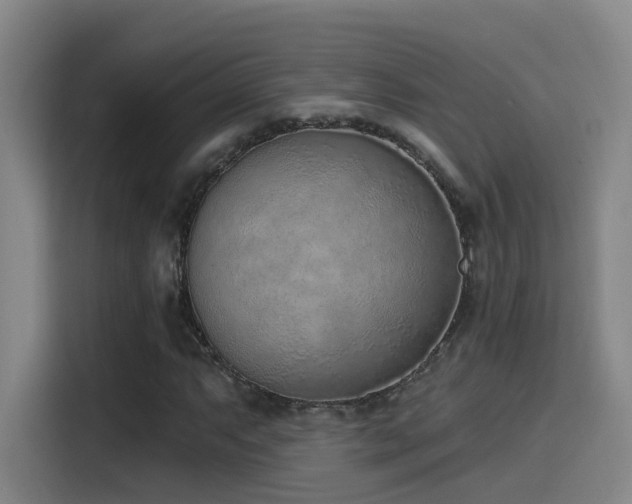 X0000116111063200911231141