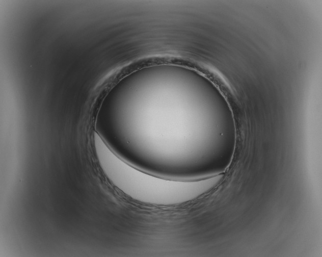 X0000116111064200911231141