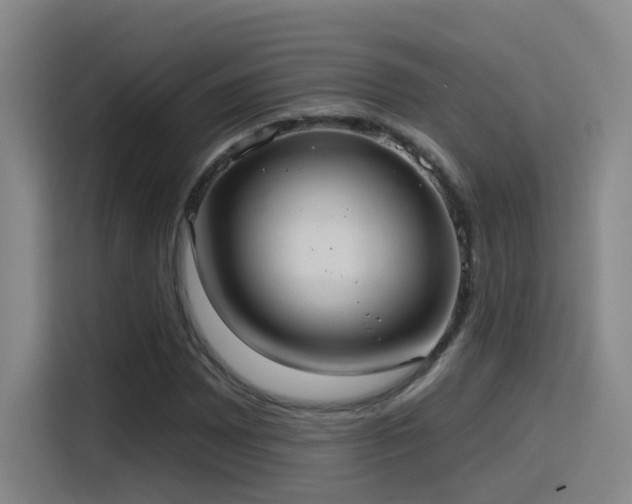 X0000116111065200911231141