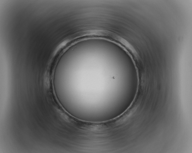 X0000116111067200911231141