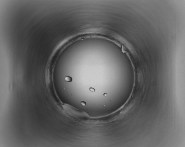 X0000116111069200911231141