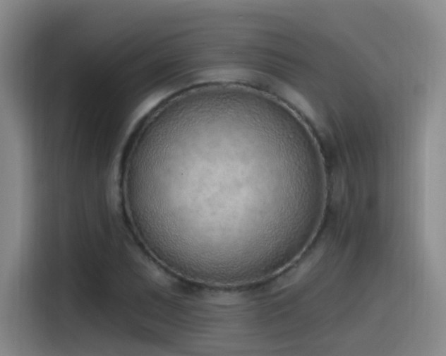 X0000116111071200911231141
