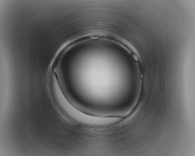 X0000116111075200911231141