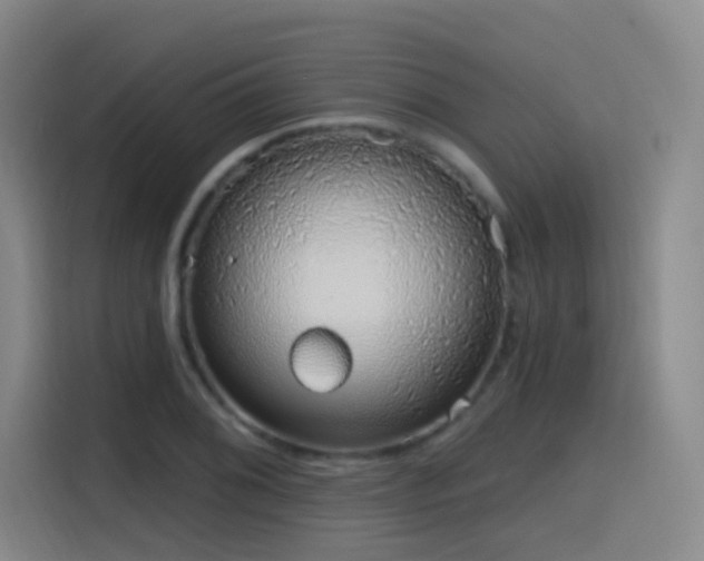 X0000116111076200911231141